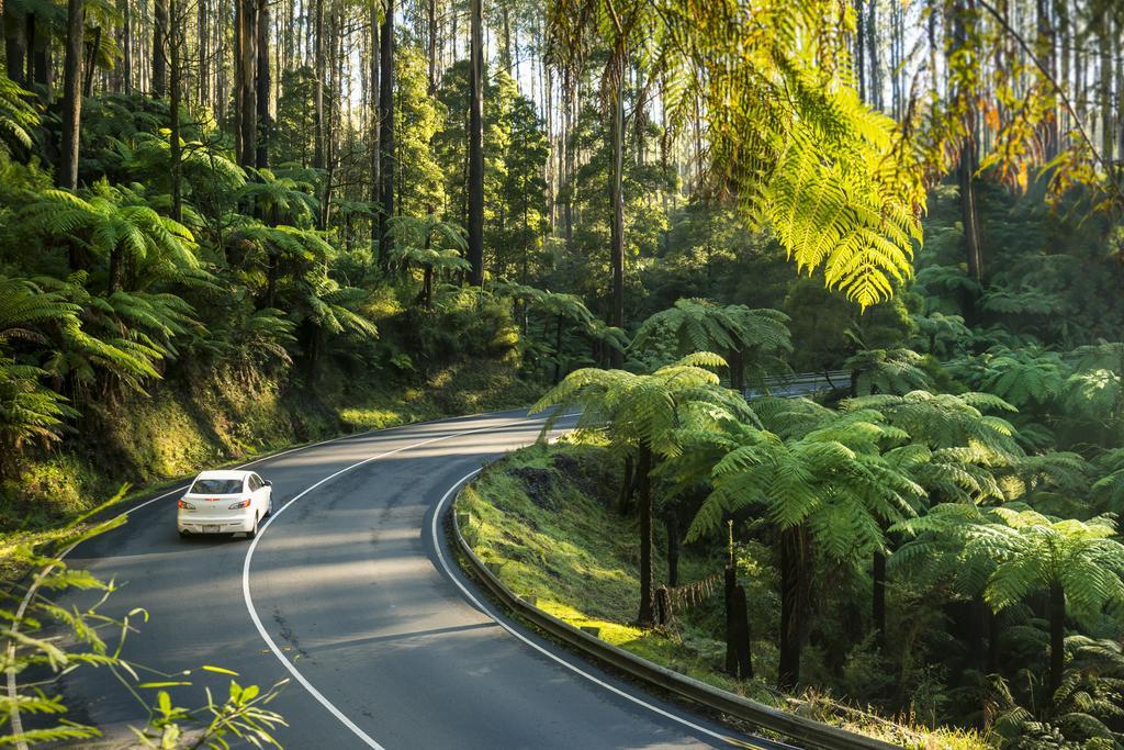 Lithgow Falls Marysville Esterno foto